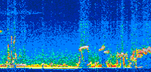 /calipso-imagery/data/BROWSE/production/V5-00/2022-03-08/2022-03-08_01-58-09_V5.00_3_thmb.png image missing