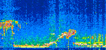 /calipso-imagery/data/BROWSE/production/V5-00/2022-03-08/2022-03-08_03-36-40_V5.00_3_thmb.png image missing