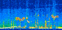 /calipso-imagery/data/BROWSE/production/V5-00/2022-03-08/2022-03-08_10-10-40_V5.00_2_thmb.png image missing