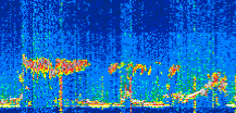 /calipso-imagery/data/BROWSE/production/V5-00/2022-03-08/2022-03-08_23-18-47_V5.00_3_thmb.png image missing