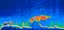 /calipso-imagery/data/BROWSE/production/V5-00/2022-04-01/2022-04-01_07-11-15_V5.00_1_thmb.png image missing