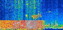 /calipso-imagery/data/BROWSE/production/V5-00/2022-04-01/2022-04-01_18-40-51_V5.00_2_thmb.png image missing