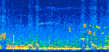 /calipso-imagery/data/BROWSE/production/V5-00/2022-04-01/2022-04-01_23-36-22_V5.00_2_thmb.png image missing