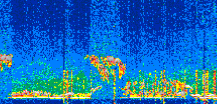 /calipso-imagery/data/BROWSE/production/V5-00/2022-04-04/2022-04-04_00-51-43_V5.00_3_thmb.png image missing