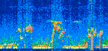 /calipso-imagery/data/BROWSE/production/V5-00/2022-04-04/2022-04-04_02-30-13_V5.00_2_thmb.png image missing