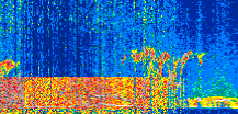 /calipso-imagery/data/BROWSE/production/V5-00/2022-04-04/2022-04-04_17-16-45_V5.00_2_thmb.png image missing