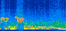 /calipso-imagery/data/BROWSE/production/V5-00/2022-04-06/2022-04-06_00-28-29_V5.00_3_thmb.png image missing