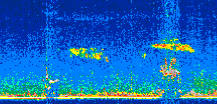 /calipso-imagery/data/BROWSE/production/V5-00/2022-04-06/2022-04-06_02-06-55_V5.00_2_thmb.png image missing