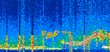 /calipso-imagery/data/BROWSE/production/V5-00/2022-04-06/2022-04-06_03-45-30_V5.00_3_thmb.png image missing