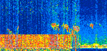 /calipso-imagery/data/BROWSE/production/V5-00/2022-04-06/2022-04-06_16-53-31_V5.00_2_thmb.png image missing