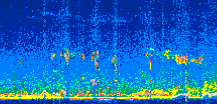 /calipso-imagery/data/BROWSE/production/V5-00/2022-04-07/2022-04-07_10-57-09_V5.00_2_thmb.png image missing