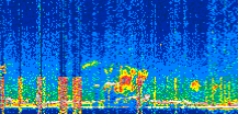 /calipso-imagery/data/BROWSE/production/V5-00/2022-04-08/2022-04-08_00-05-10_V5.00_3_thmb.png image missing