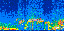/calipso-imagery/data/BROWSE/production/V5-00/2022-04-08/2022-04-08_03-22-11_V5.00_3_thmb.png image missing
