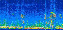 /calipso-imagery/data/BROWSE/production/V5-00/2022-04-08/2022-04-08_08-17-46_V5.00_2_thmb.png image missing