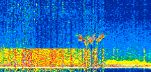 /calipso-imagery/data/BROWSE/production/V5-00/2022-04-08/2022-04-08_16-30-17_V5.00_2_thmb.png image missing