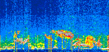 /calipso-imagery/data/BROWSE/production/V5-00/2022-04-20/2022-04-20_04-19-32_V5.00_3_thmb.png image missing