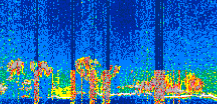 /calipso-imagery/data/BROWSE/production/V5-00/2022-04-20/2022-04-20_05-58-02_V5.00_3_thmb.png image missing