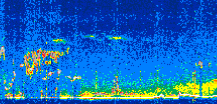 /calipso-imagery/data/BROWSE/production/V5-00/2022-04-20/2022-04-20_10-53-33_V5.00_2_thmb.png image missing