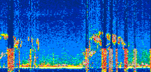 /calipso-imagery/data/BROWSE/production/V5-00/2022-04-29/2022-04-29_01-45-09_V5.00_2_thmb.png image missing