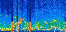 /calipso-imagery/data/BROWSE/production/V5-00/2022-04-29/2022-04-29_01-45-09_V5.00_3_thmb.png image missing