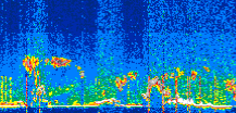 /calipso-imagery/data/BROWSE/production/V5-00/2022-04-29/2022-04-29_03-23-39_V5.00_3_thmb.png image missing