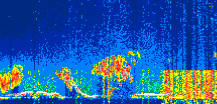 /calipso-imagery/data/BROWSE/production/V5-00/2022-04-29/2022-04-29_14-53-11_V5.00_1_thmb.png image missing
