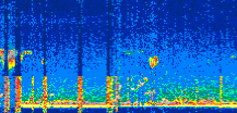 /calipso-imagery/data/BROWSE/production/V5-00/2022-05-04/2022-05-04_01-35-54_V5.00_2_thmb.png image missing