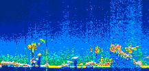 /calipso-imagery/data/BROWSE/production/V5-00/2022-05-04/2022-05-04_03-14-24_V5.00_1_thmb.png image missing