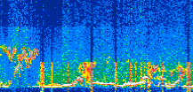 /calipso-imagery/data/BROWSE/production/V5-00/2022-05-04/2022-05-04_03-14-24_V5.00_3_thmb.png image missing