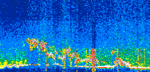 /calipso-imagery/data/BROWSE/production/V5-00/2022-05-04/2022-05-04_06-31-25_V5.00_3_thmb.png image missing