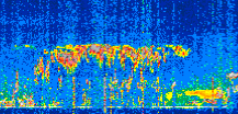 /calipso-imagery/data/BROWSE/production/V5-00/2022-05-04/2022-05-04_08-09-55_V5.00_2_thmb.png image missing