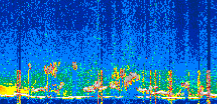 /calipso-imagery/data/BROWSE/production/V5-00/2022-05-04/2022-05-04_09-48-25_V5.00_3_thmb.png image missing