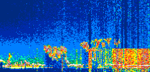 /calipso-imagery/data/BROWSE/production/V5-00/2022-05-04/2022-05-04_14-43-51_V5.00_1_thmb.png image missing