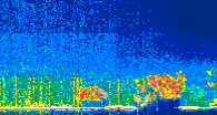 /calipso-imagery/data/BROWSE/production/V5-00/2022-05-04/2022-05-04_21-17-57_V5.00_4_thmb.png image missing