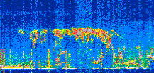/calipso-imagery/data/BROWSE/production/V5-00/2022-05-06/2022-05-06_07-46-26_V5.00_2_thmb.png image missing