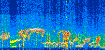 /calipso-imagery/data/BROWSE/production/V5-00/2022-05-06/2022-05-06_12-41-57_V5.00_3_thmb.png image missing