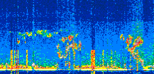 /calipso-imagery/data/BROWSE/production/V5-00/2022-05-28/2022-05-28_01-48-57_V5.00_2_thmb.png image missing