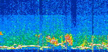 /calipso-imagery/data/BROWSE/production/V5-00/2022-05-28/2022-05-28_01-48-57_V5.00_3_thmb.png image missing