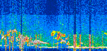 /calipso-imagery/data/BROWSE/production/V5-00/2022-05-28/2022-05-28_06-44-27_V5.00_3_thmb.png image missing