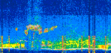 /calipso-imagery/data/BROWSE/production/V5-00/2022-05-28/2022-05-28_13-18-28_V5.00_2_thmb.png image missing