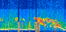 /calipso-imagery/data/BROWSE/production/V5-00/2022-05-28/2022-05-28_14-56-58_V5.00_3_thmb.png image missing