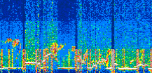 /calipso-imagery/data/BROWSE/production/V5-00/2022-05-28/2022-05-28_19-52-24_V5.00_3_thmb.png image missing