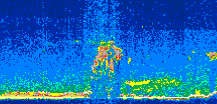 /calipso-imagery/data/BROWSE/production/V5-00/2022-05-28/2022-05-28_21-30-54_V5.00_2_thmb.png image missing