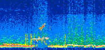 /calipso-imagery/data/BROWSE/production/V5-00/2022-05-28/2022-05-28_23-09-24_V5.00_2_thmb.png image missing