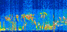 /calipso-imagery/data/BROWSE/production/V5-00/2022-05-30/2022-05-30_07-59-18_V5.00_2_thmb.png image missing