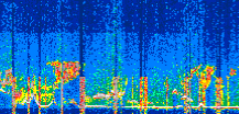 /calipso-imagery/data/BROWSE/production/V5-00/2022-05-30/2022-05-30_07-59-18_V5.00_3_thmb.png image missing