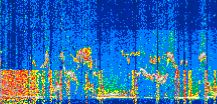 /calipso-imagery/data/BROWSE/production/V5-00/2022-05-30/2022-05-30_19-28-45_V5.00_2_thmb.png image missing