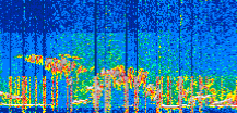 /calipso-imagery/data/BROWSE/production/V5-00/2022-05-30/2022-05-30_19-28-45_V5.00_3_thmb.png image missing