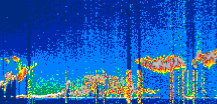 /calipso-imagery/data/BROWSE/production/V5-00/2022-06-01/2022-06-01_01-01-39_V5.00_1_thmb.png image missing