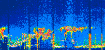 /calipso-imagery/data/BROWSE/production/V5-00/2022-06-01/2022-06-01_02-40-09_V5.00_1_thmb.png image missing